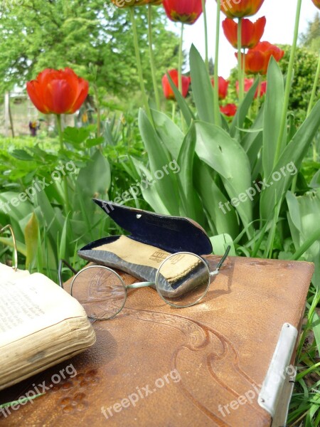 Glasses Glasses Case Old Photo Album Art Nouveau