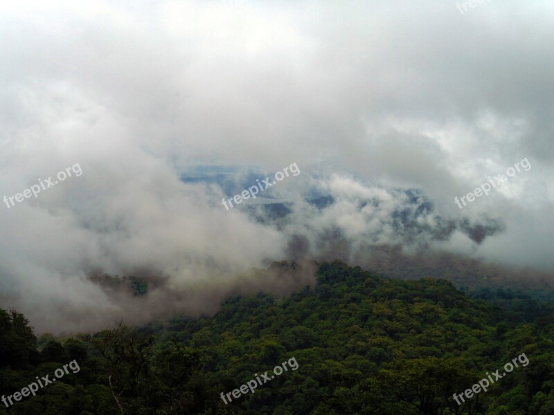 Rainforest Clouds Tropical Green Nature