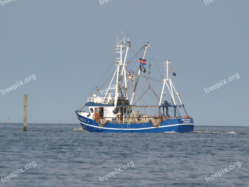 Fishing Vessel Shrimp North Sea Cutter Ship