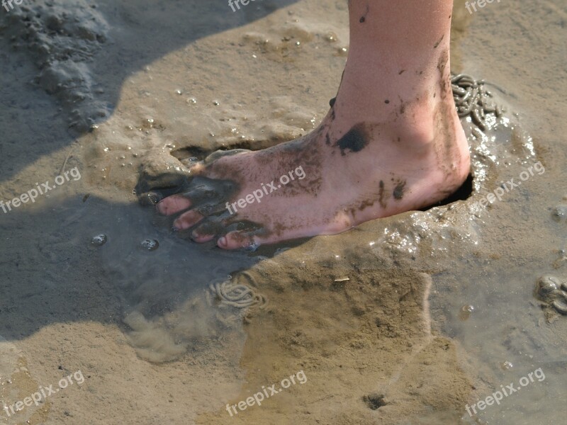 Watts Foot North Sea Wadden Sea Mud