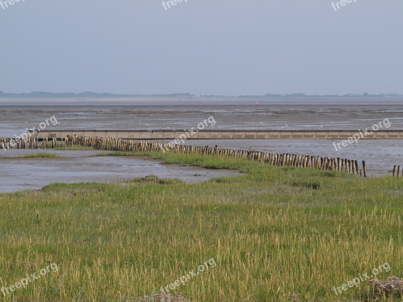 Watts Ebb Wadden Sea East Frisia North Sea