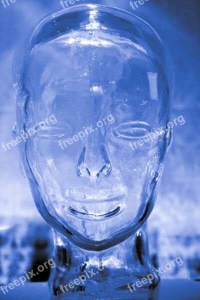 Human Glass Brain Head Blue