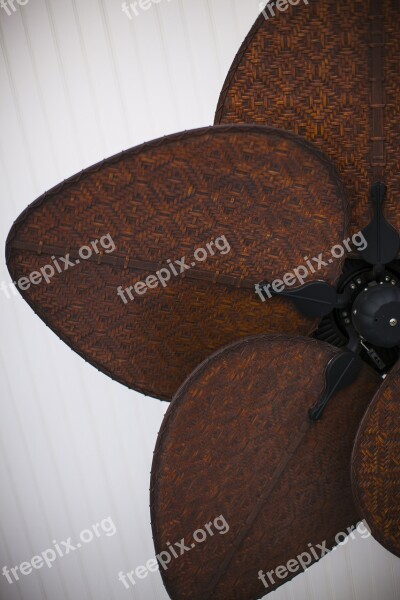 Fan Brown Culture Decoration Japan