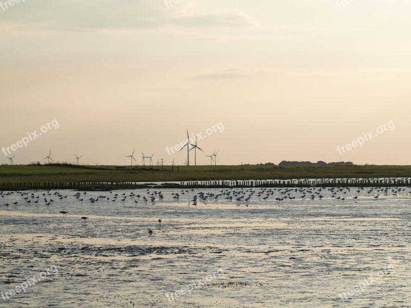 Ebb North Sea Wadden Sea Sea Water