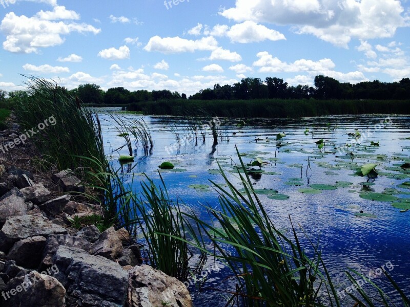 Summer Lake Water Environment Tranquil