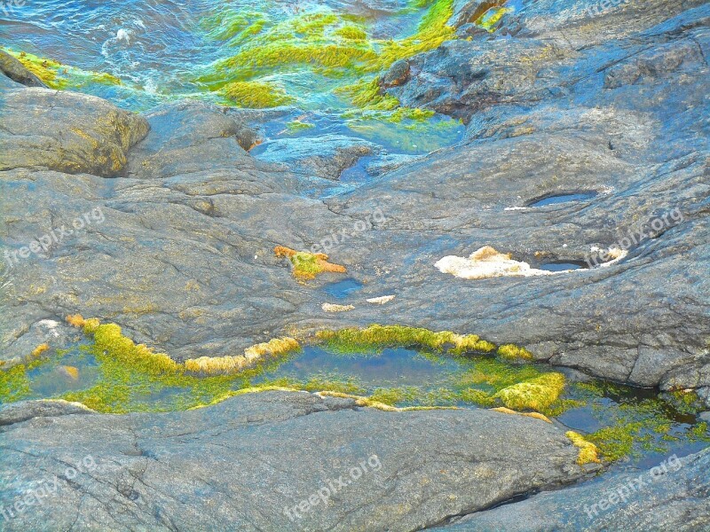 Cliff Seagrass Green Seashore Archipelago