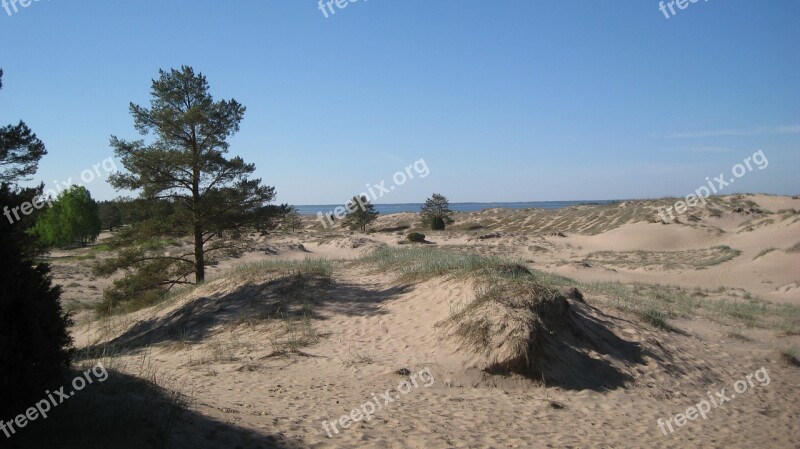 Yyteri Pori Beach The Dunes Sand