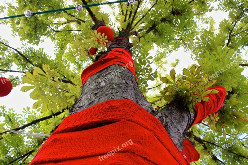 Tree Embroidered Street Art Knit Crown