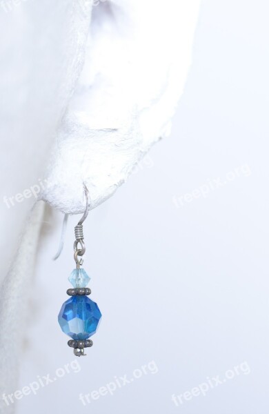 Earring White Blue Beauty Fashion