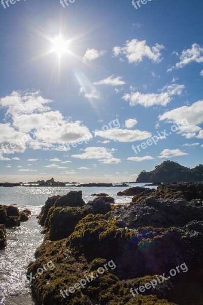 New Zealand Pacific Beach Sea Water