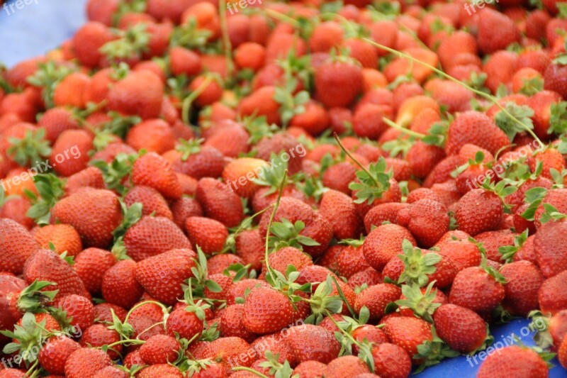 Strawberries Red Berries Fruits Fruit