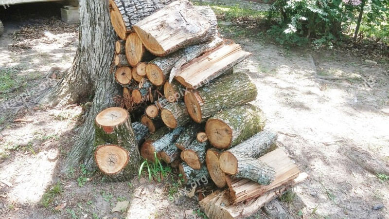 Wood Pile Firewood Wood Wood Heap Stacked