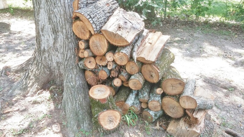 Firewood Wood Wood Pile Wood Heap Stacked