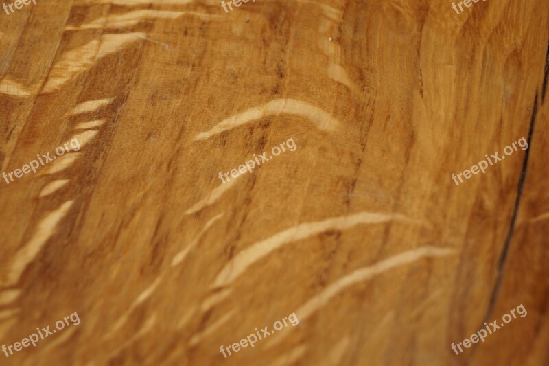 Wood Grain Texture Structure Background