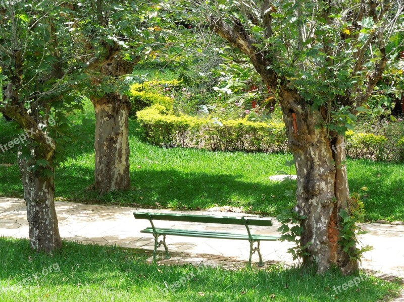 Park Trees Park Bench Landscape Free Photos