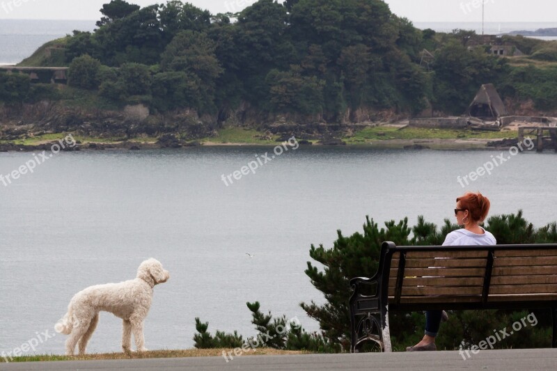 Park Bench Woman Dog Person Human