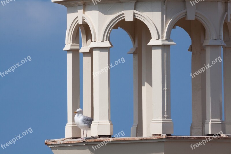 Tower Columnar Seagull Architecture Building