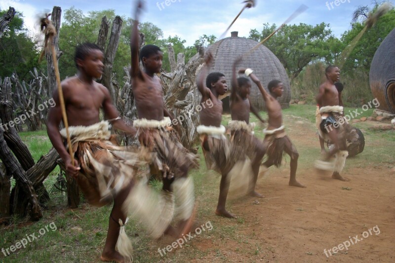 Zulu Youths War Dance Animal Skin Skirts Movement Izibindi