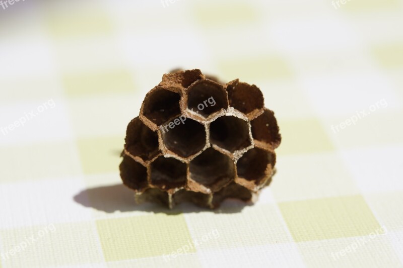 The Hive Combs Empty Hexagon Hexagonal