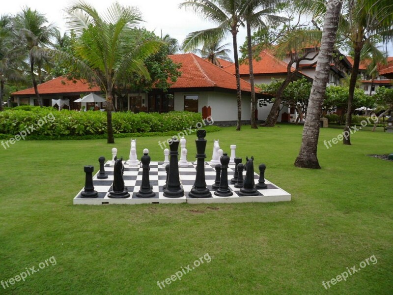 Chess Garden Games Free Photos