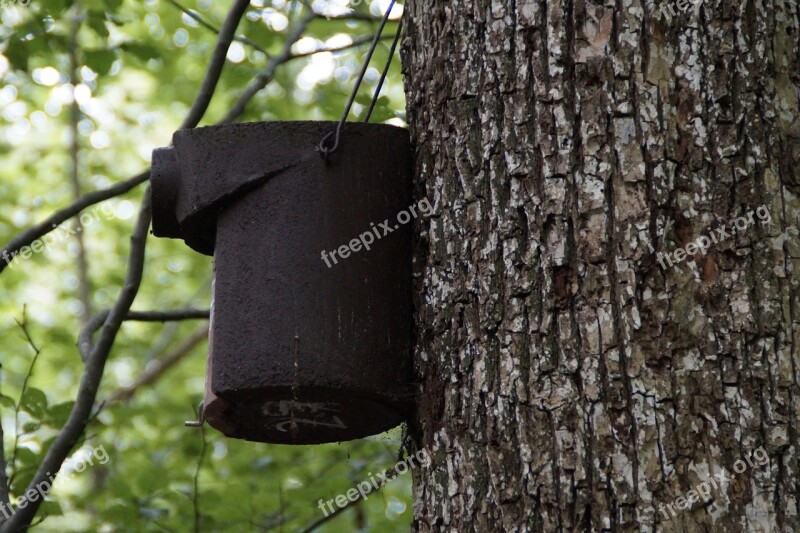 Nesting Box Breed Chest Nest Nesting Place