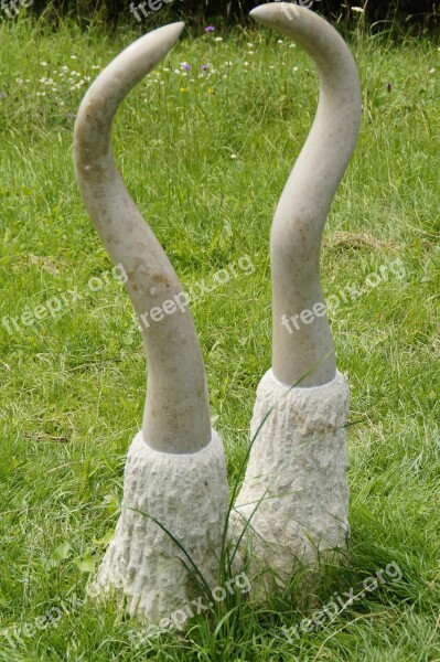 Tooth Mammoth Mammoth Teeth Object Artwork