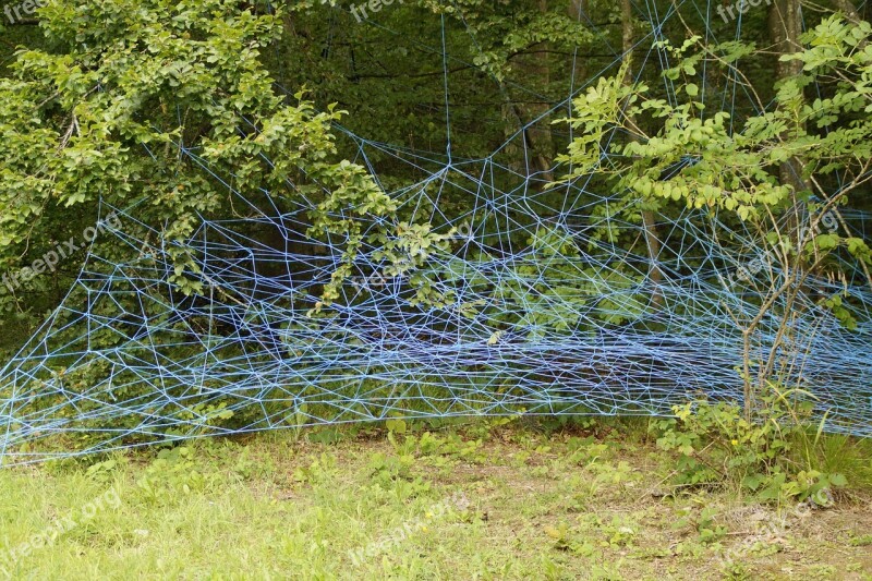 Web Blue Branches Lavizzara Entangled