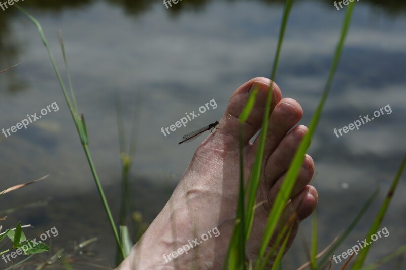 Foot Ten Water Grass Feet