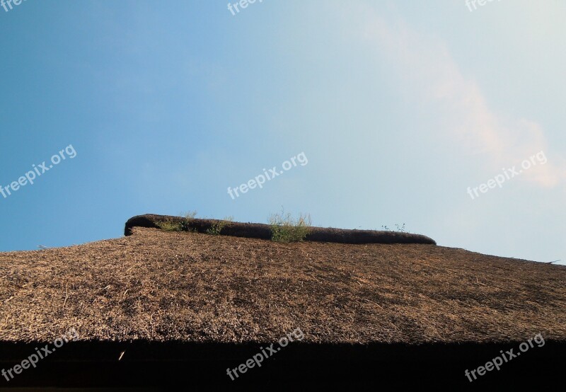 Thatched Roof Roof Grass Roof Free Photos