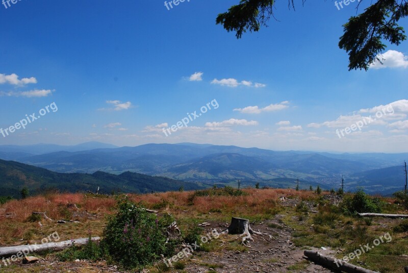 Mountain Sheep Mountains View Landscape Panorama