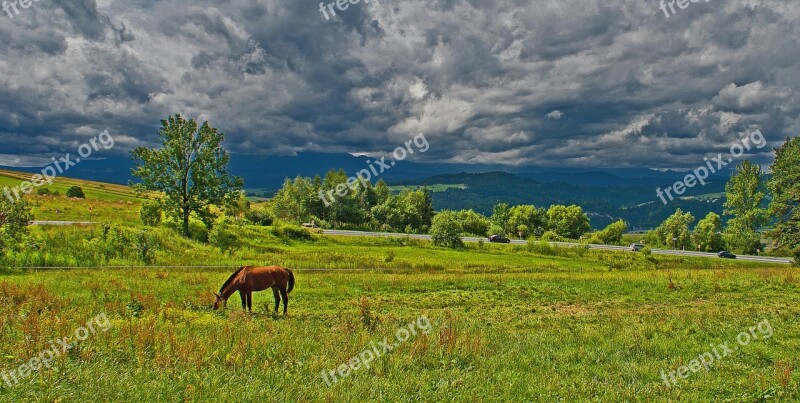 Lonely Horse Pasture Land Before The Storm Meadow Grass