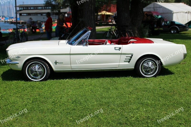 Ford Mustang Oldtimer Ford Vehicle Mustang