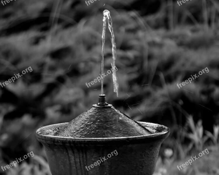 Fountain Black And White Park Black White