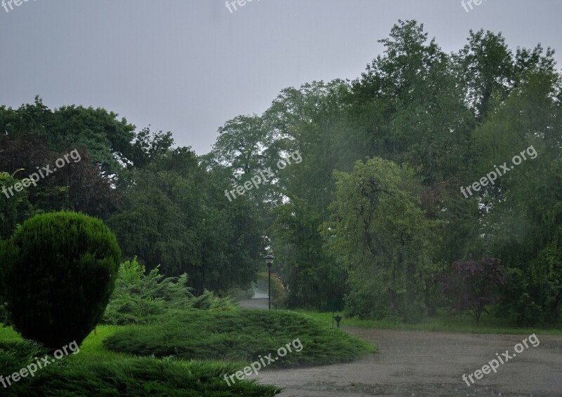 Rain Rainy Day Park Weather