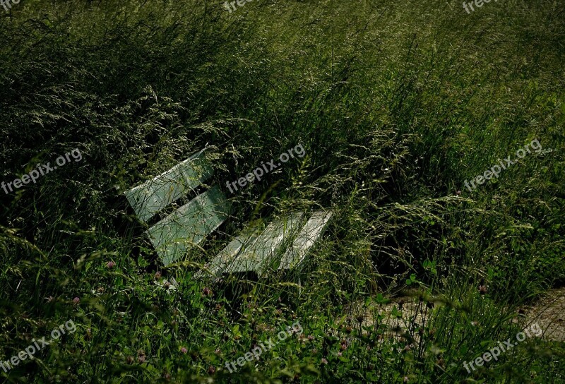 Bench Park Green Seat Tree