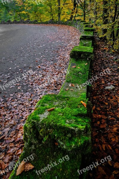 Street Outdoor Road Autumn Beautiful