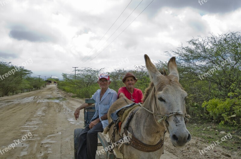 Farmers Donkey Wagon Free Photos