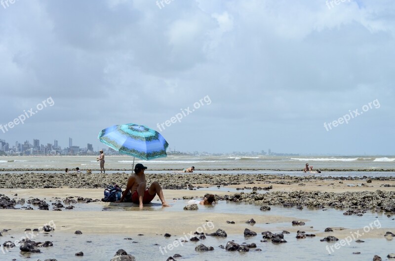 Beach Bather Tourists Holidays Ride