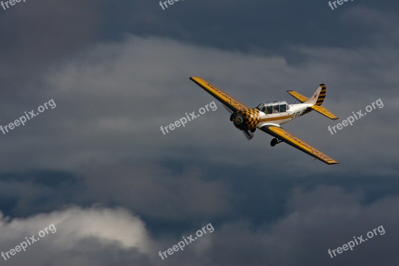 Aviation Plane Two Seater Stunt Yellow