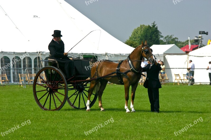 Horse Driver Top Hat Whip Harness