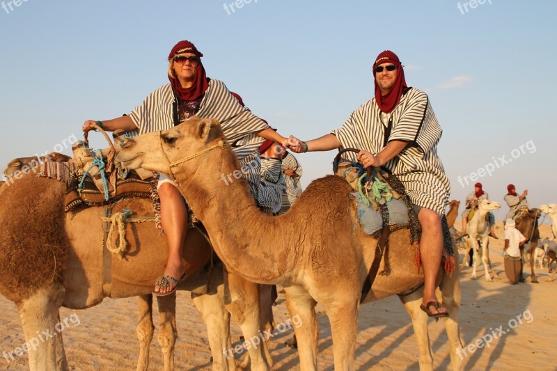 Camels Desert Journey Arabic Sand