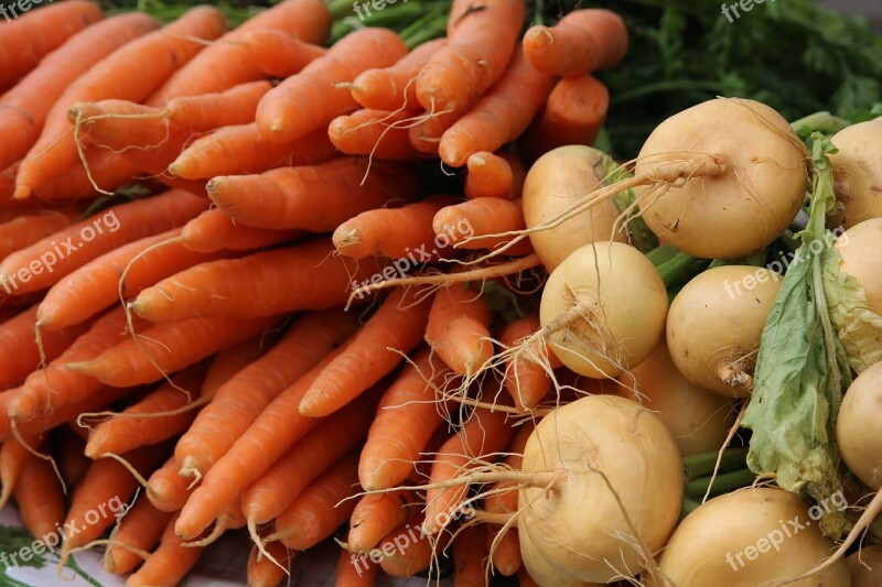 The Carrot Turnip Vegetarian Vegetable Free Photos