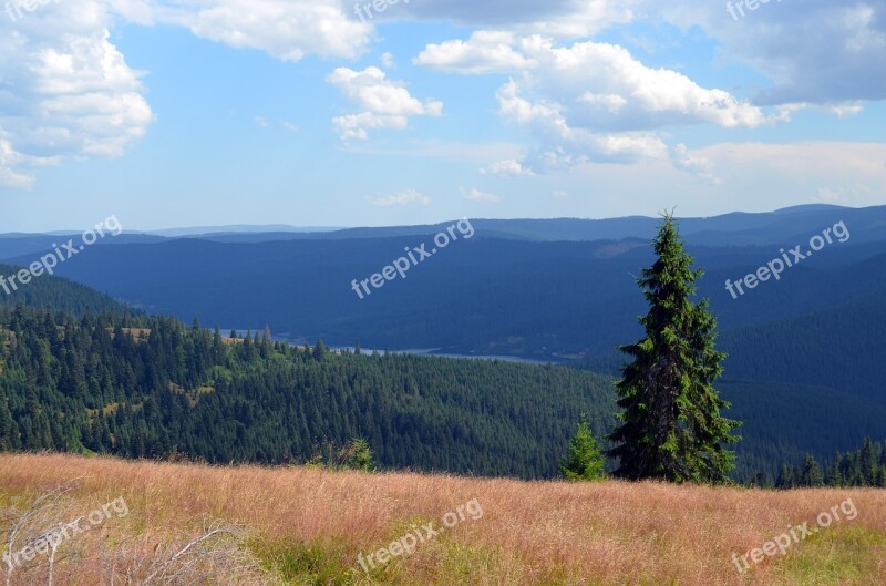 Brad Height View The Apuseni Mountains Cluj County