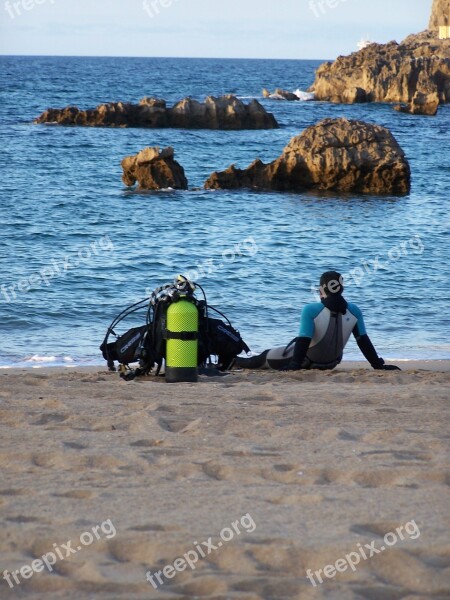 Divers Sea Beach Free Photos