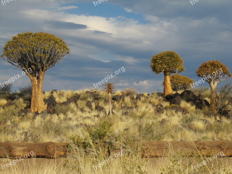 Namibia Desert Kalahari Free Photos