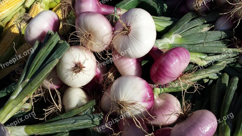 Red Shallots Shallots Noble Onion Onion Sharp