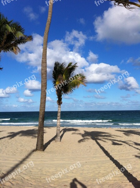 Palms Beach Sand Sky Ocean