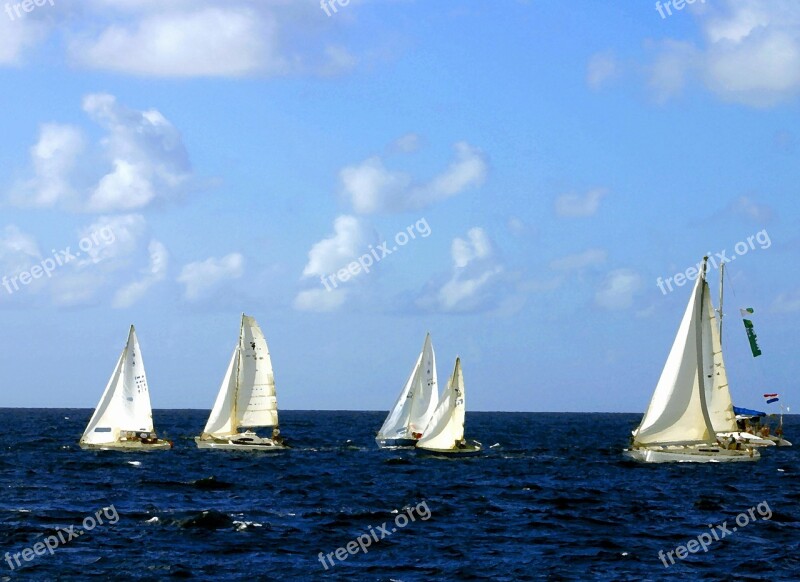 Sailing Boats Sea Ocean Sailboat Sport