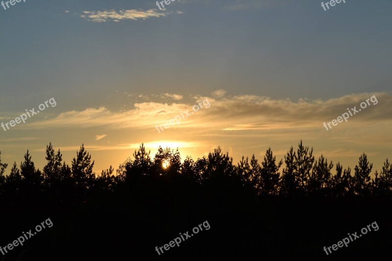 Trees Horizon Heaven Sun West