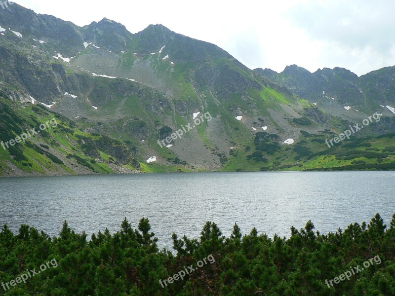 Valley Of Five Ponds Landscape Poland Top View Free Photos